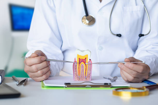 Best Emergency Dental Services for Seniors in Monroe, OH